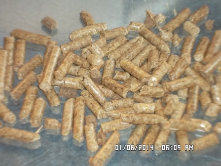 pellet di paglia.JPG